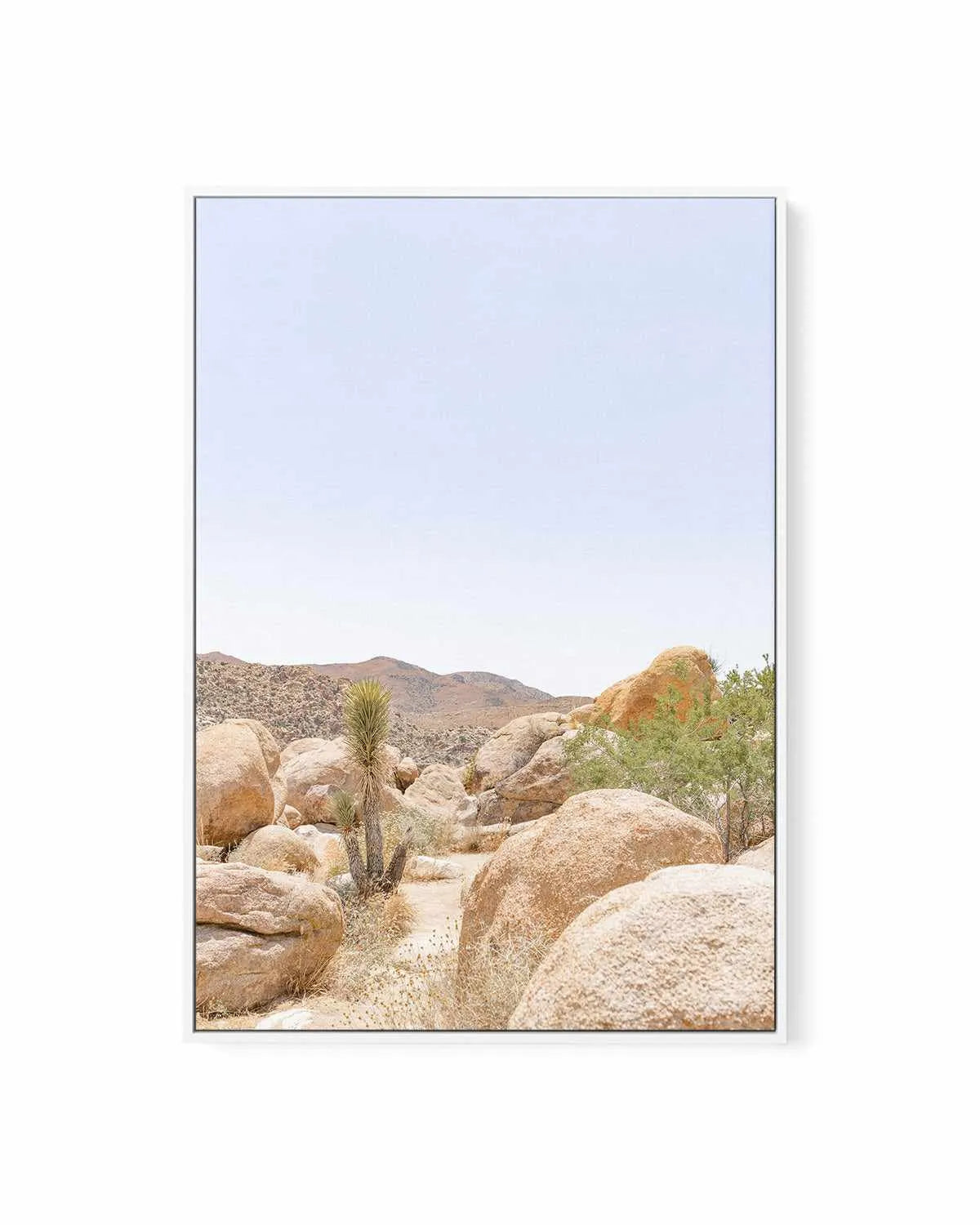 Golden Joshua Tree | Framed Canvas Art Print from Olive et Oriel where you can shop wallpaper and artworks online