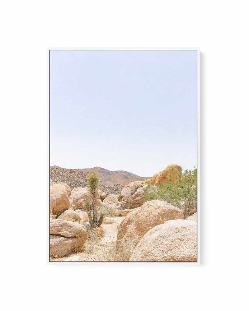 Golden Joshua Tree | Framed Canvas Art Print