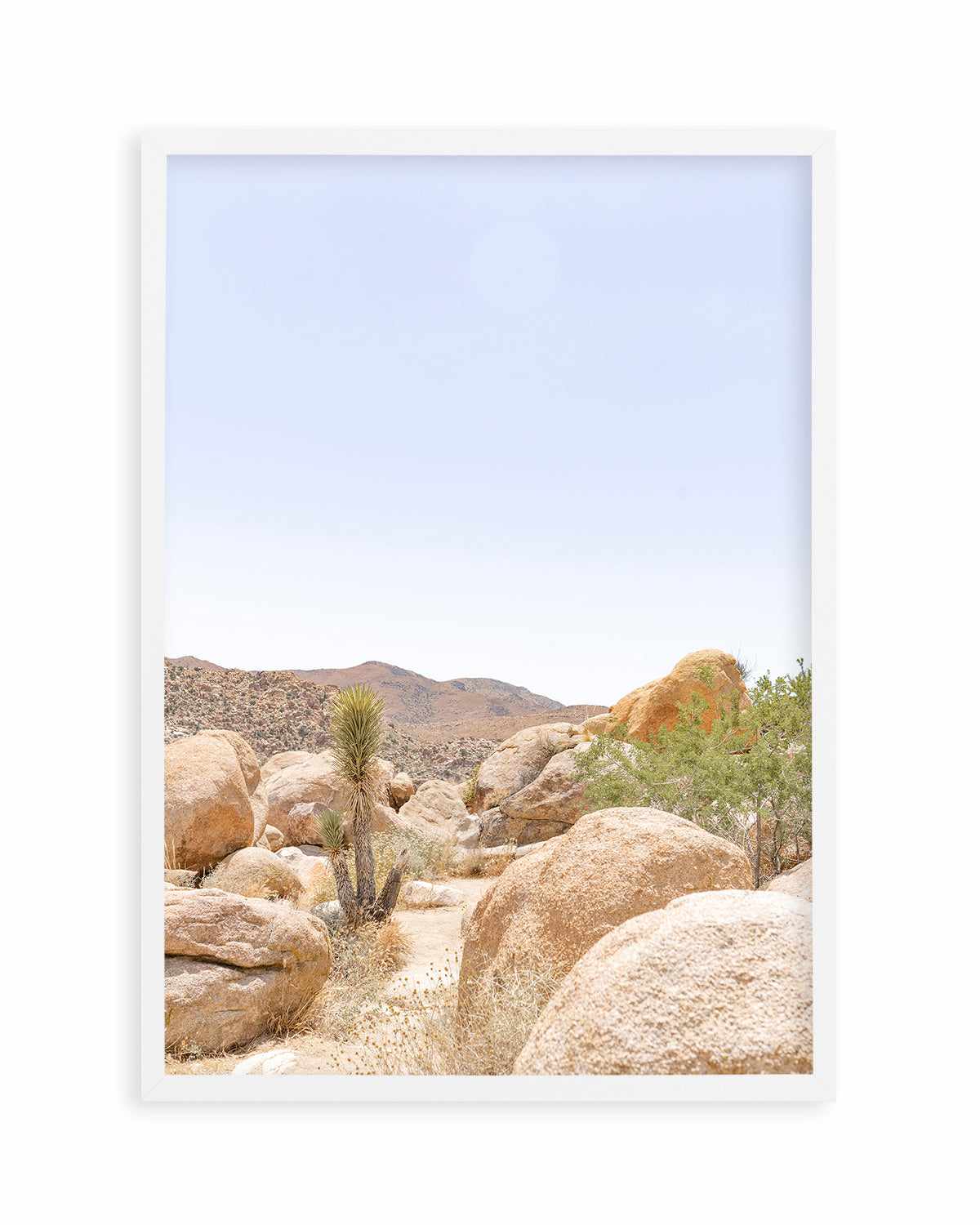 Golden Joshua Tree Art Print