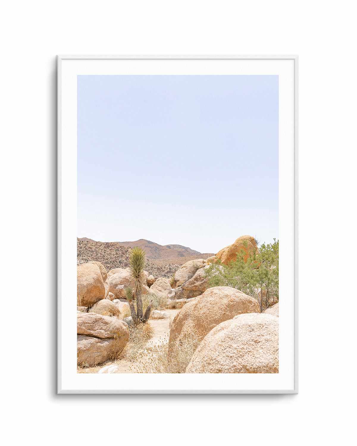 Golden Joshua Tree Art Print