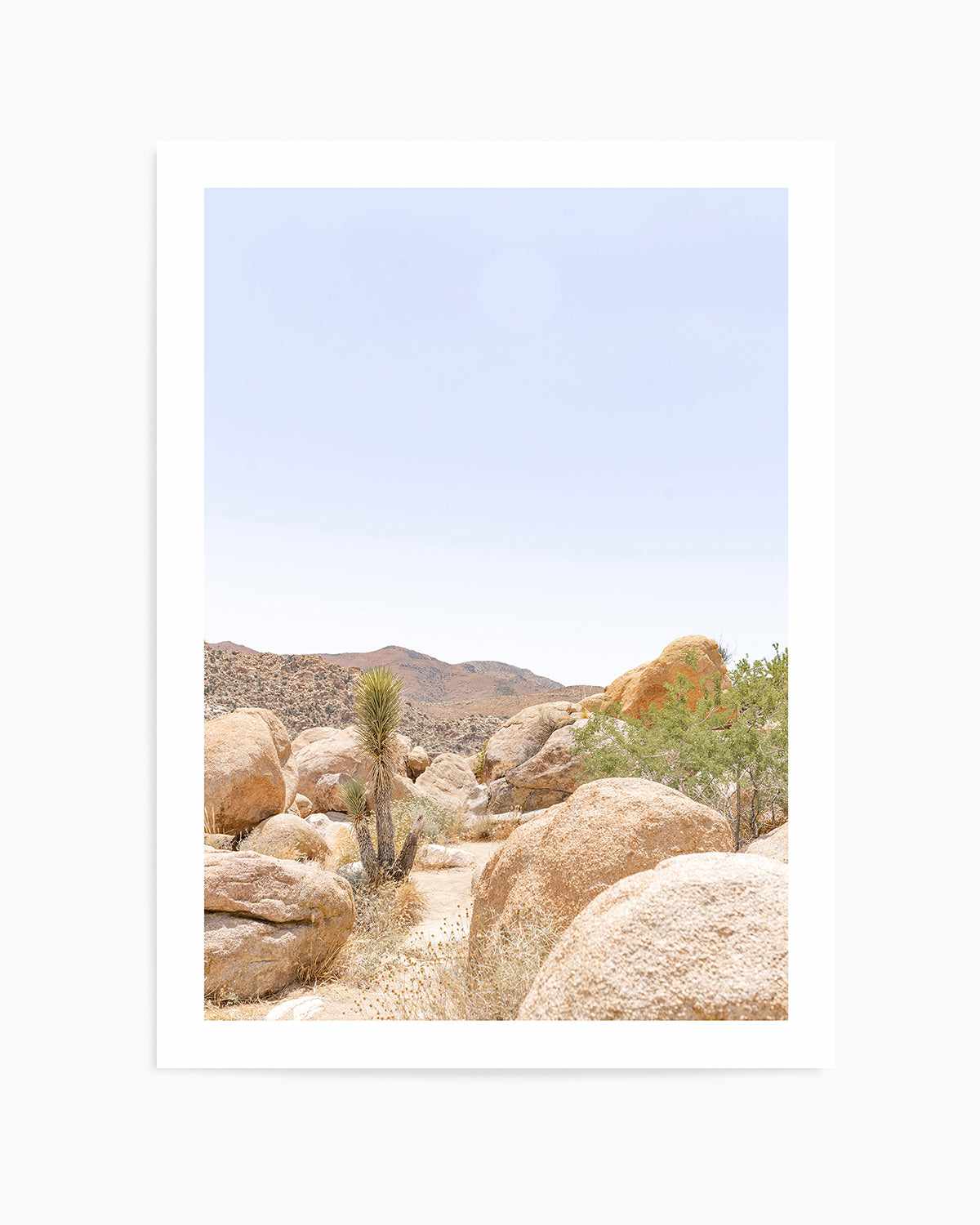 Golden Joshua Tree Art Print