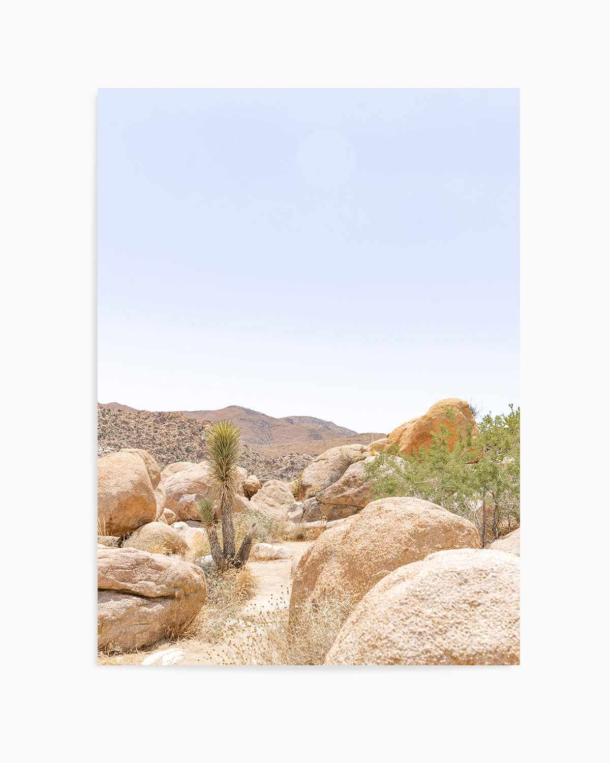 Golden Joshua Tree Art Print