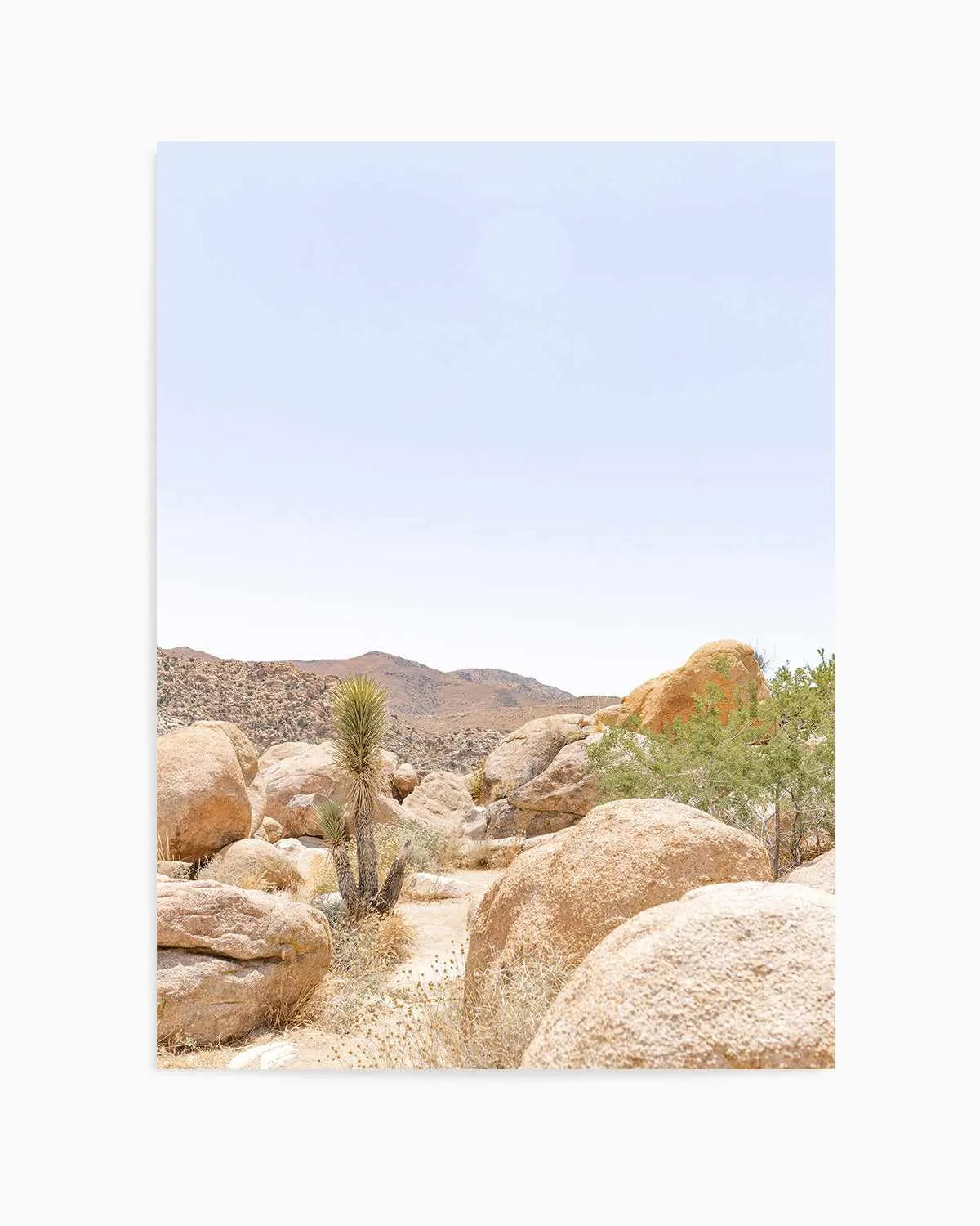 Golden Joshua Tree Art Print from Olive et Oriel where you can shop wallpaper and artworks online