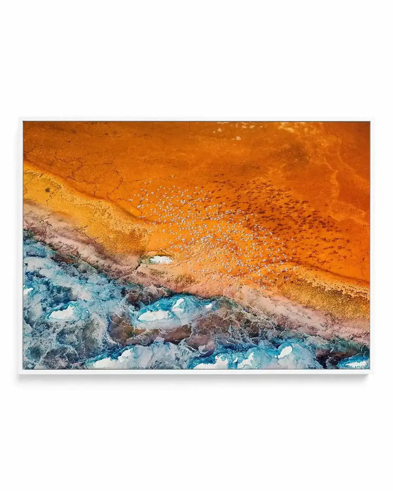 Golden Land by Phillip Chang | Framed Canvas Art Print from Olive et Oriel where you can shop wallpaper and artworks online