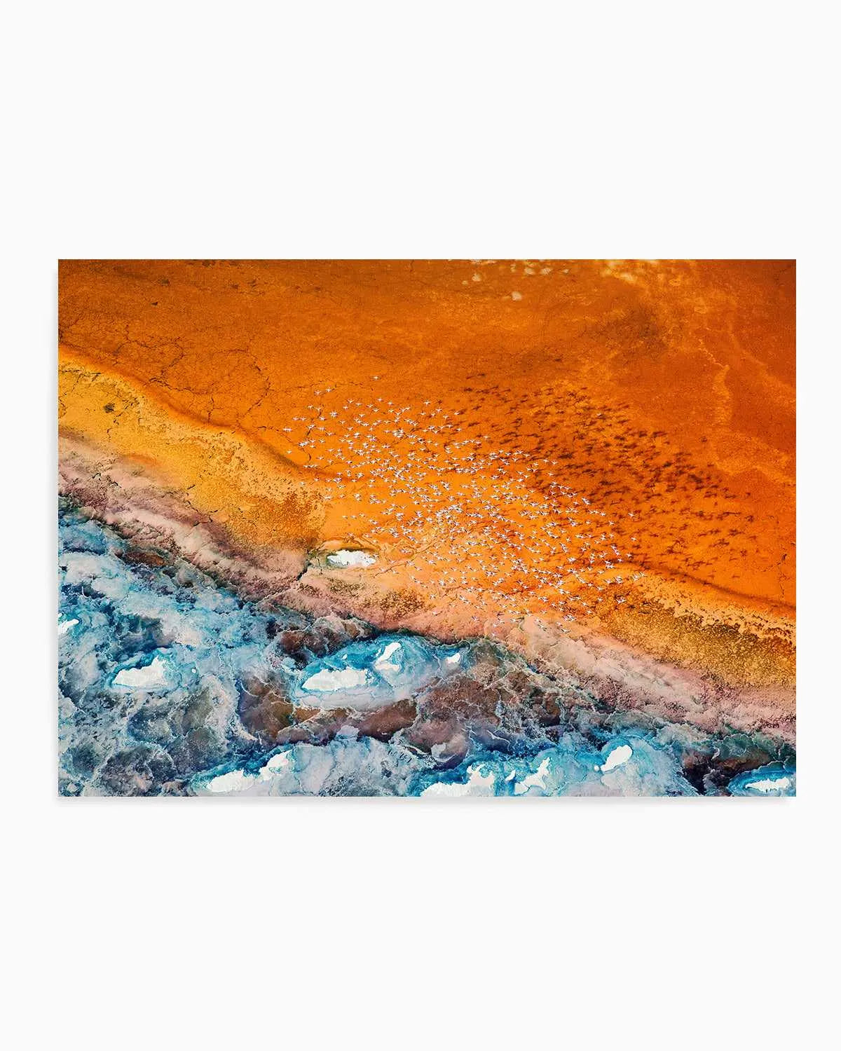 Golden Land by Phillip Chang Art Print from Olive et Oriel where you can shop wallpaper and artworks online