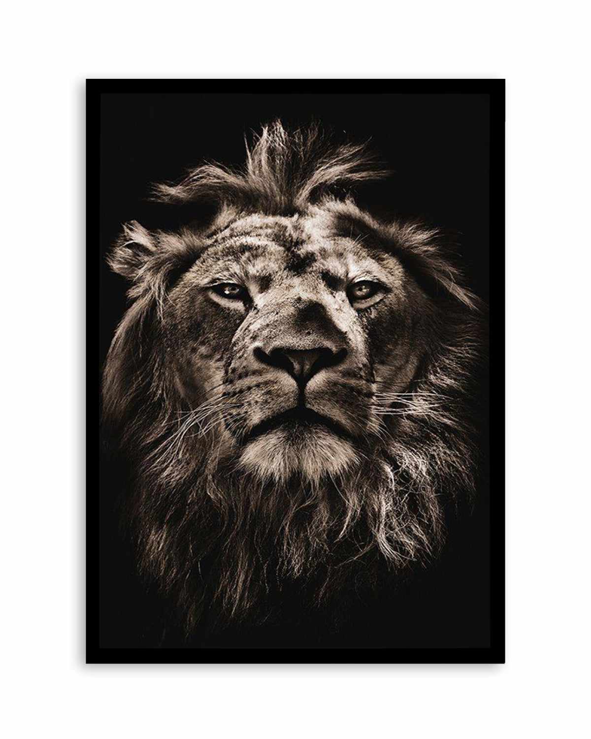 Golden Lion Art Print