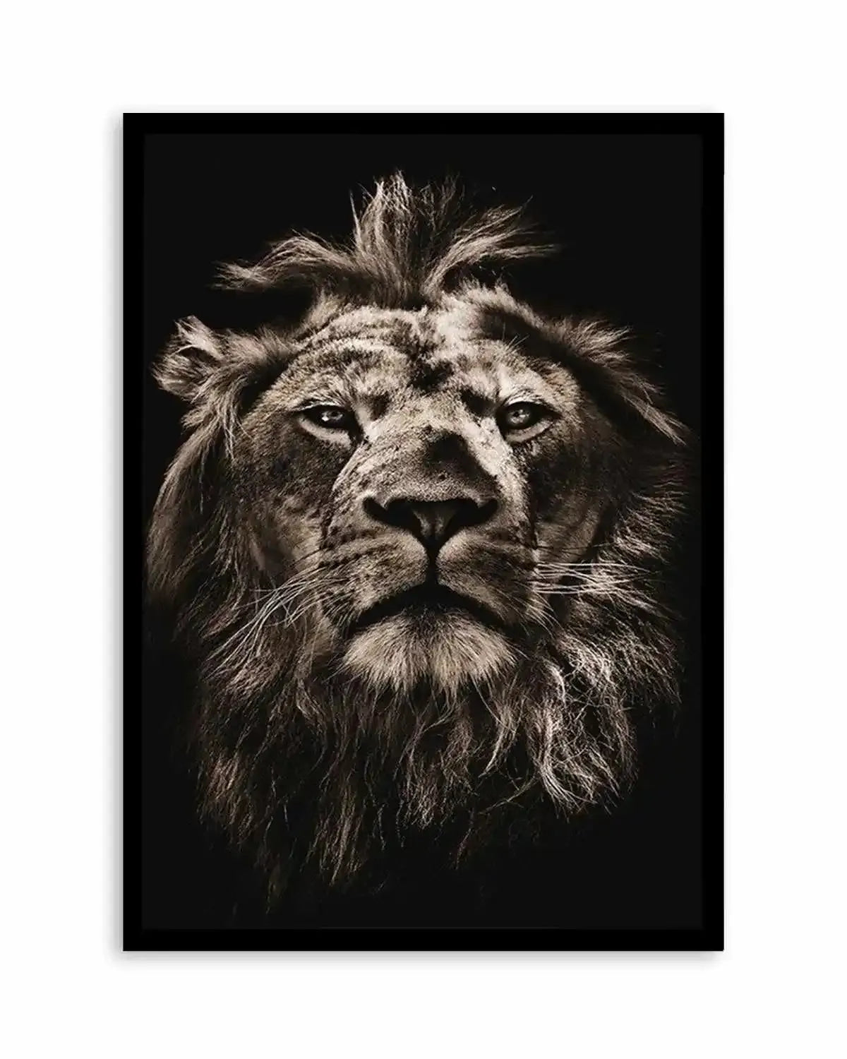 Golden Lion Art Print from Olive et Oriel where you can shop wallpaper and artworks online