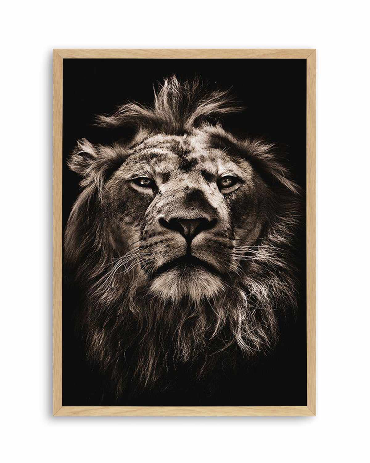 Golden Lion Art Print