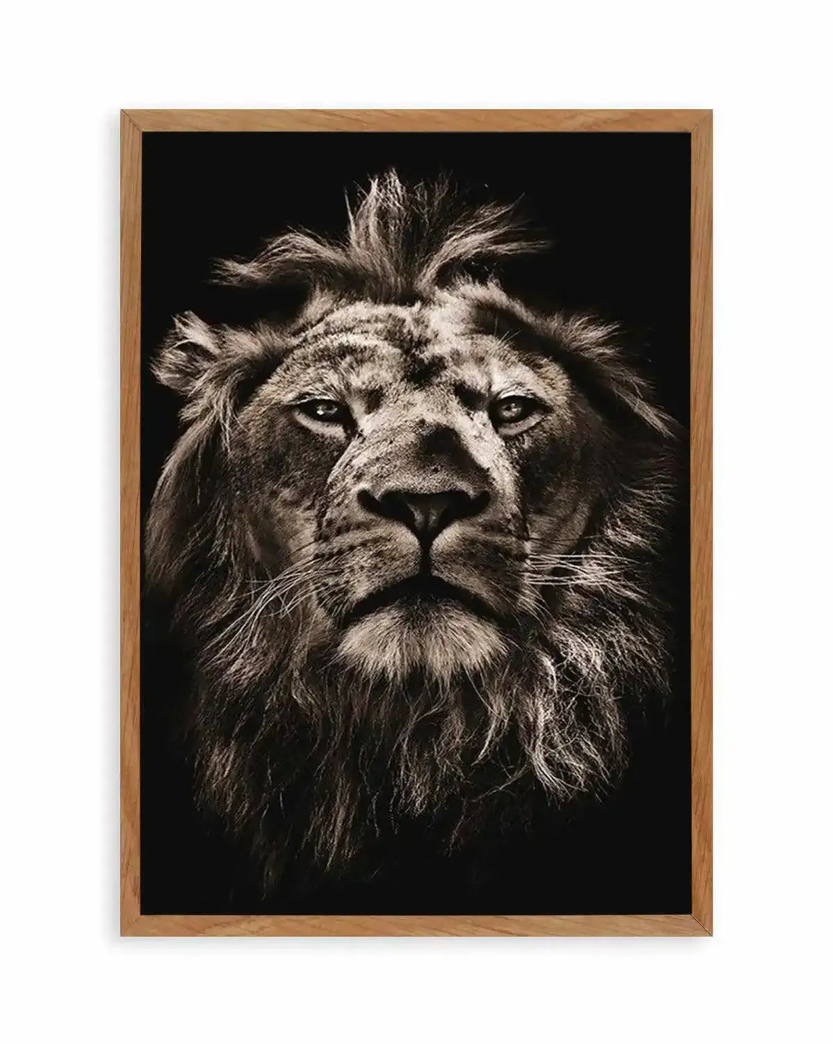 Golden Lion Art Print from Olive et Oriel where you can shop wallpaper and artworks online