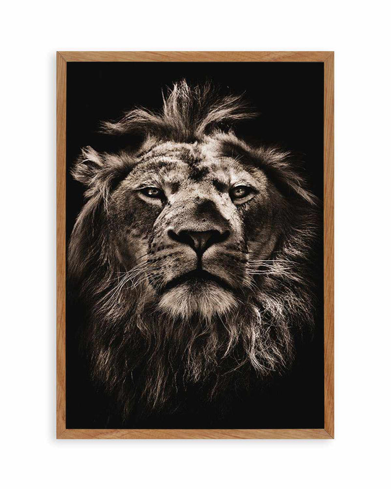 Golden Lion Art Print