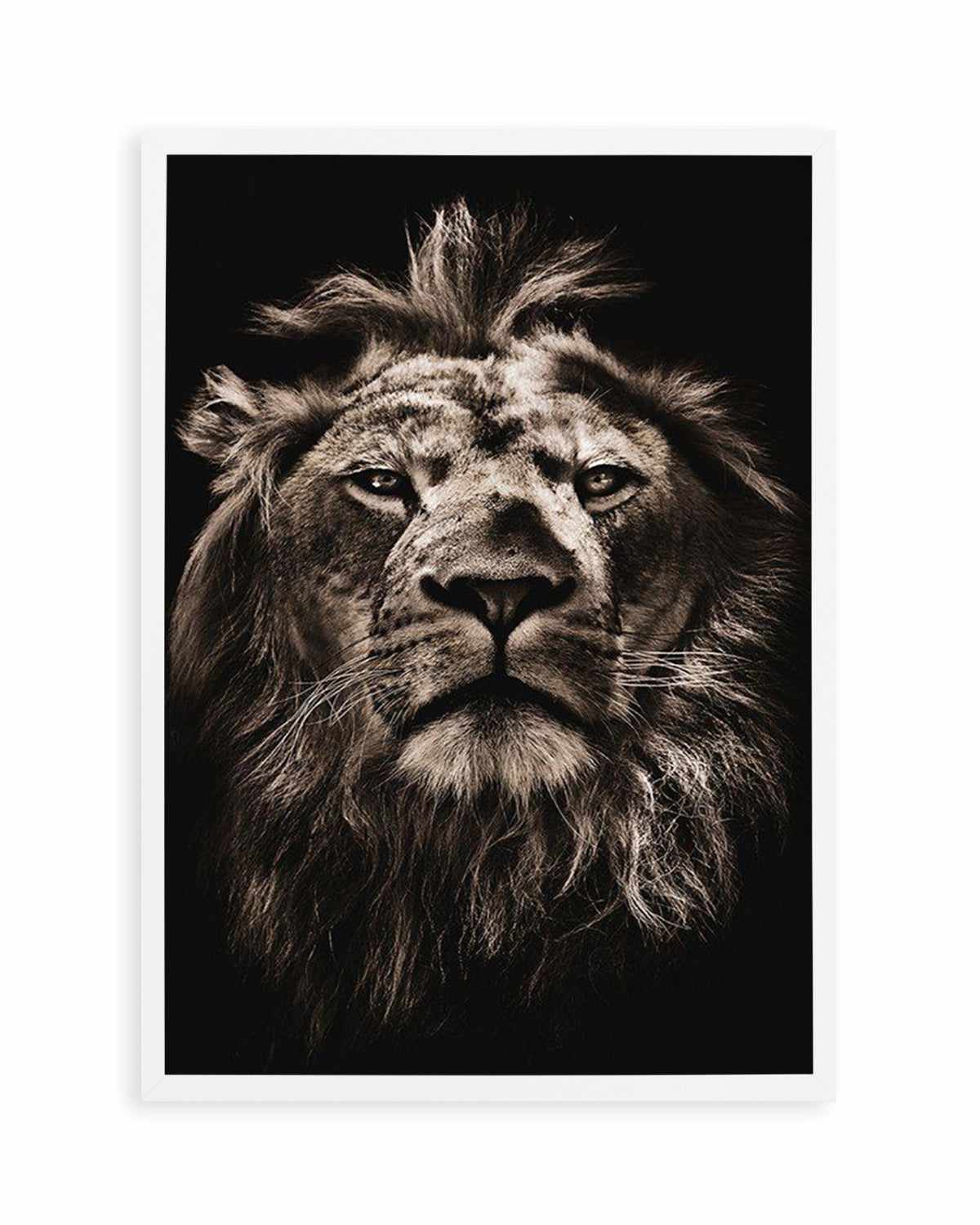 Golden Lion Art Print