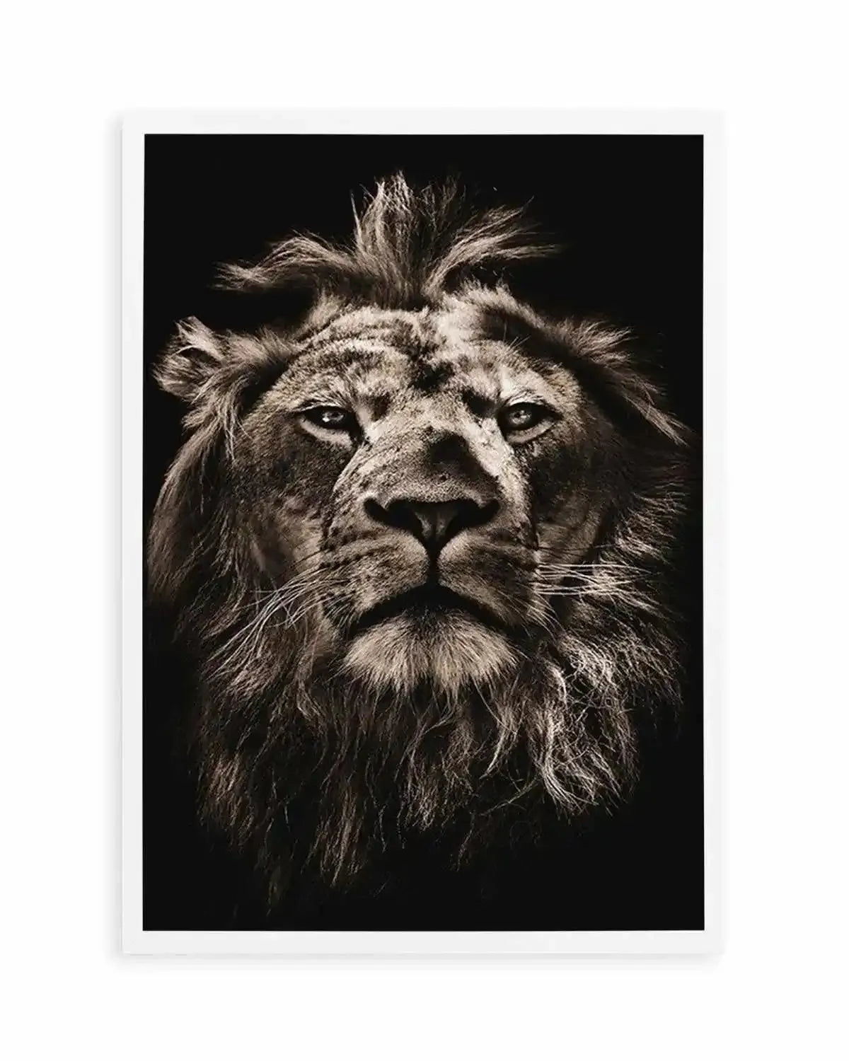Golden Lion Art Print from Olive et Oriel where you can shop wallpaper and artworks online