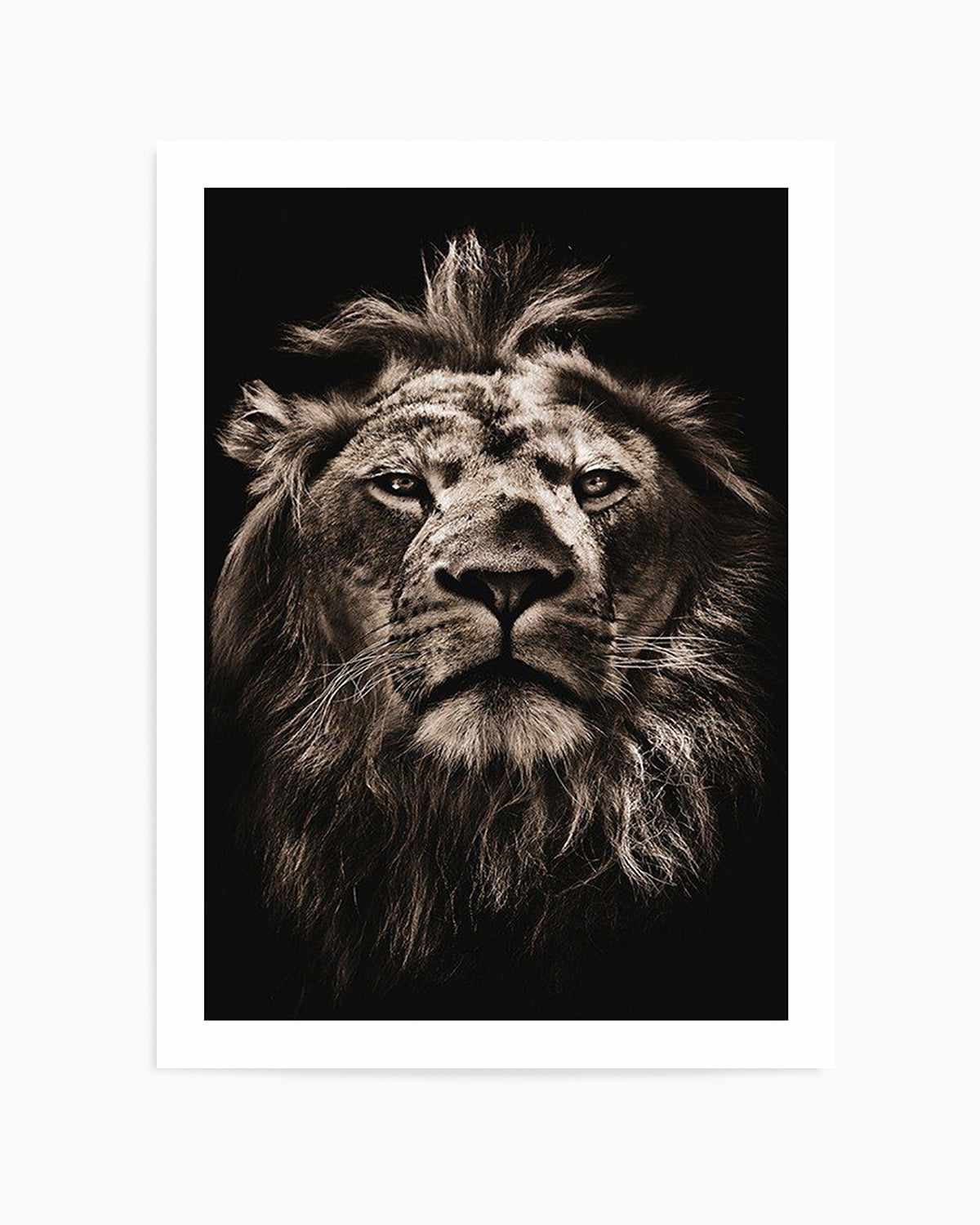 Golden Lion Art Print