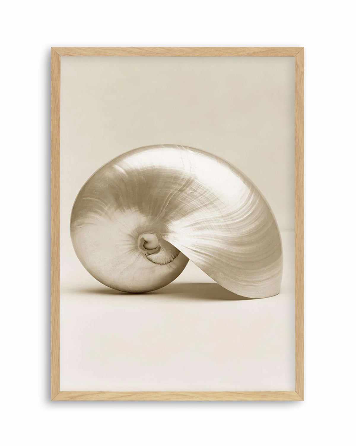 Golden Nautilus Art Print