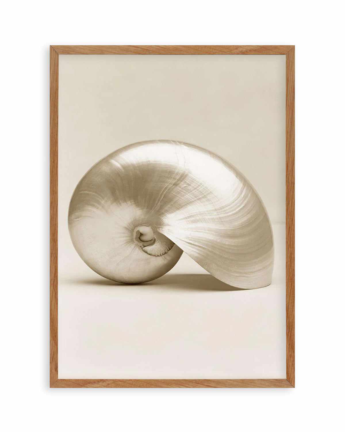 Golden Nautilus Art Print