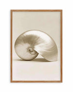 Golden Nautilus Art Print