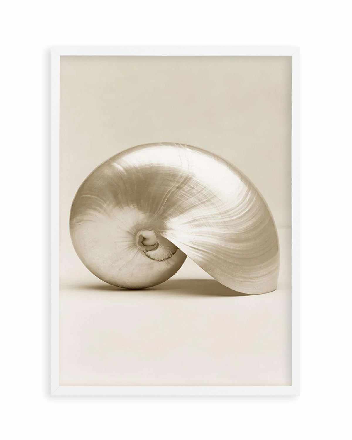 Golden Nautilus Art Print