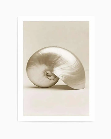 Framed sepia-toned photograph of a nautilus shell with a natural wood frame and white border. The shell is depicted in profile, showcasing its elegant spiral form and pearlescent surface with subtle striations, resting on a light, neutral background.