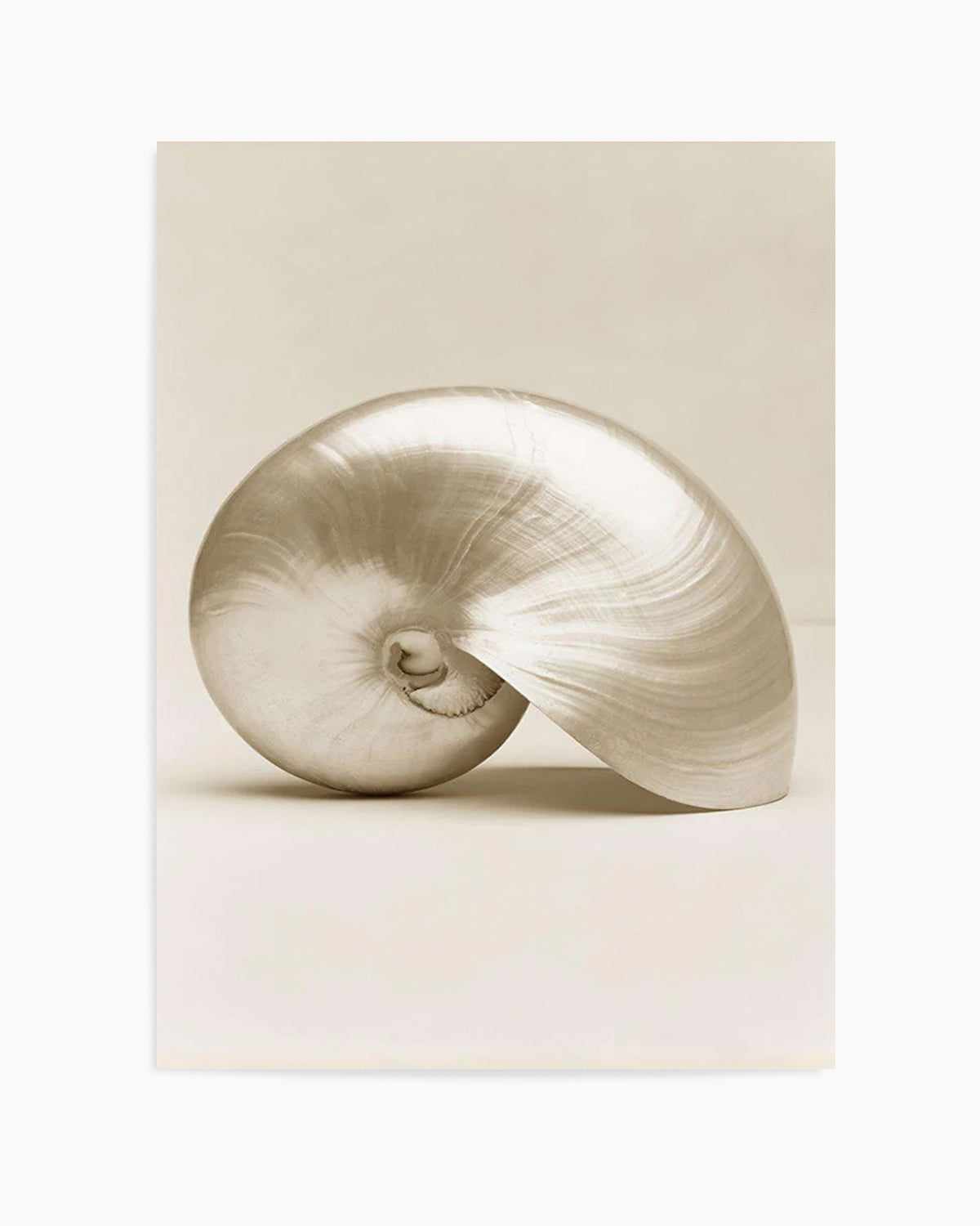 Golden Nautilus Art Print