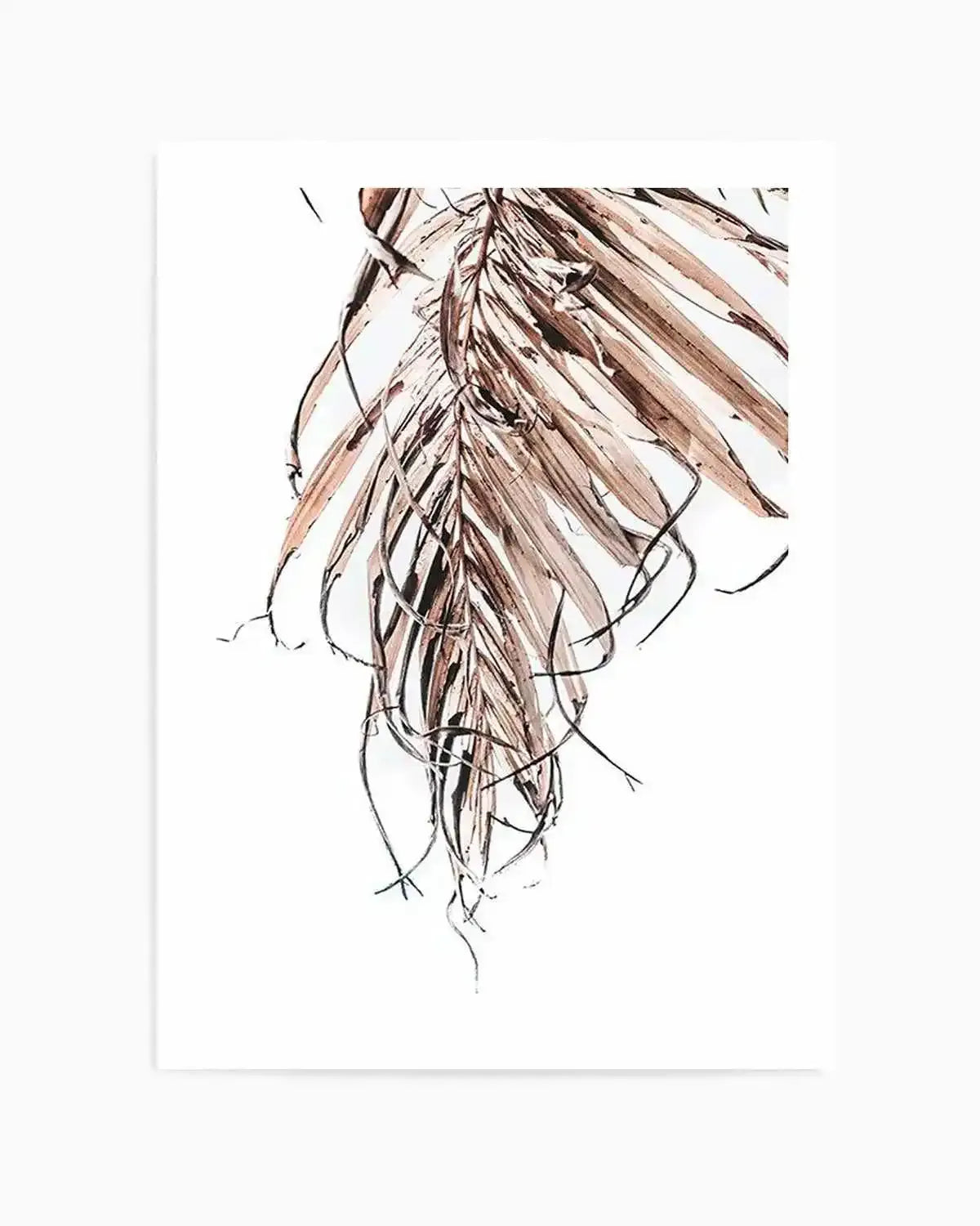 Golden Palm I Art Print from Olive et Oriel where you can shop wallpaper and artworks online