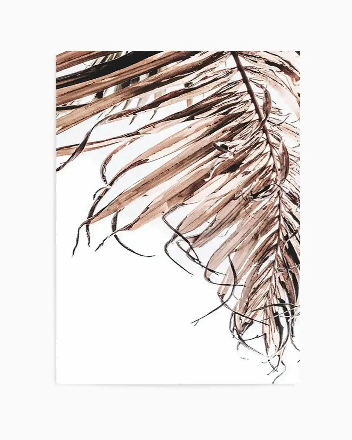 Golden Palm II Art Print from Olive et Oriel where you can shop wallpaper and artworks online