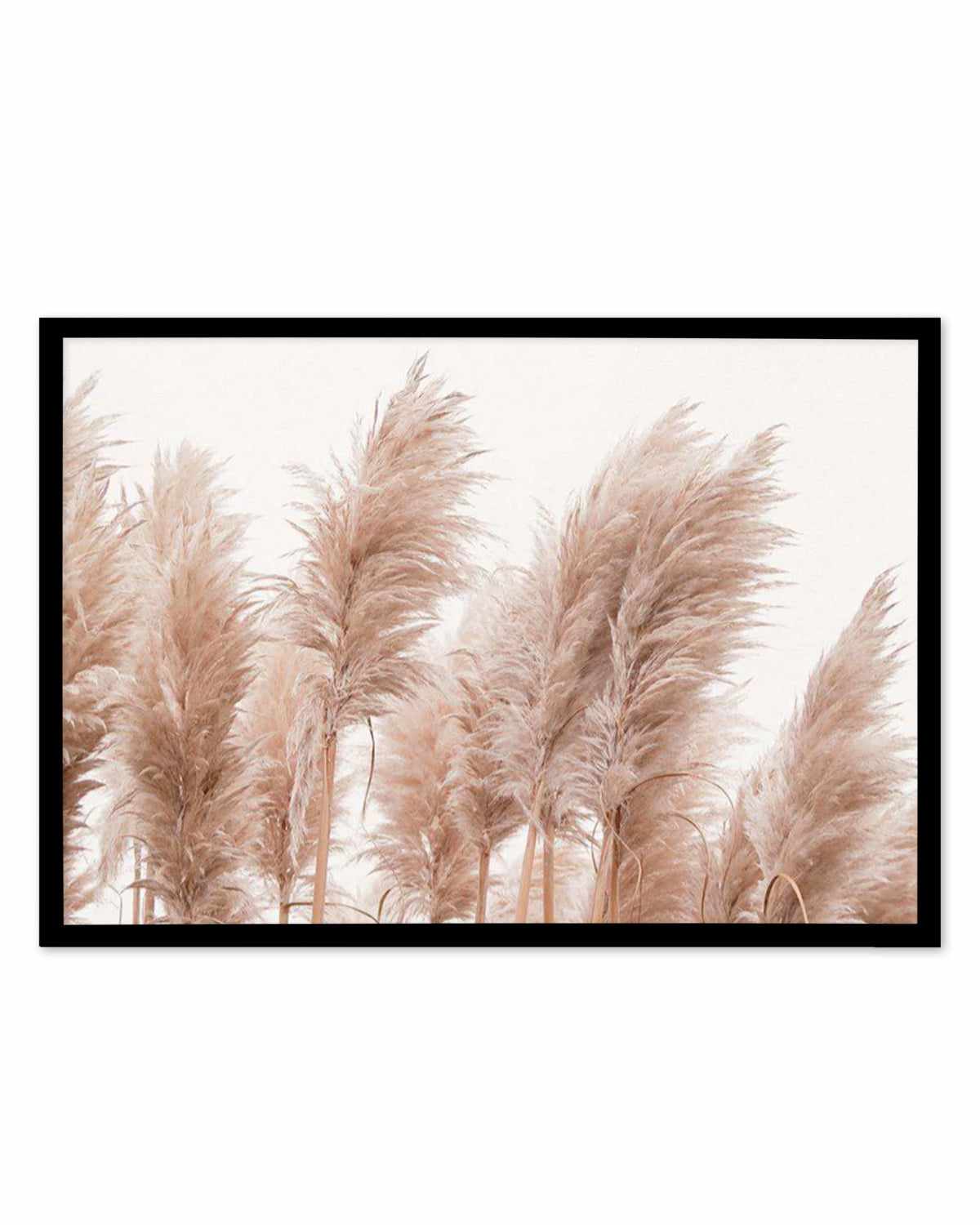 Golden Pampas Art Print