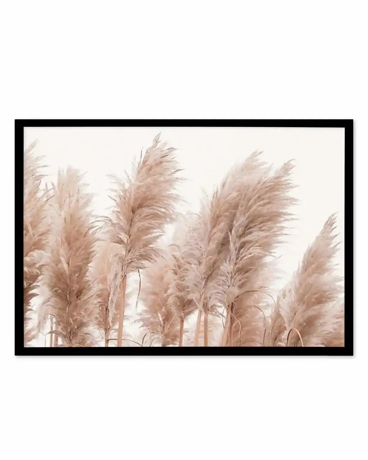 Golden Pampas Art Print from Olive et Oriel where you can shop wallpaper and artworks online