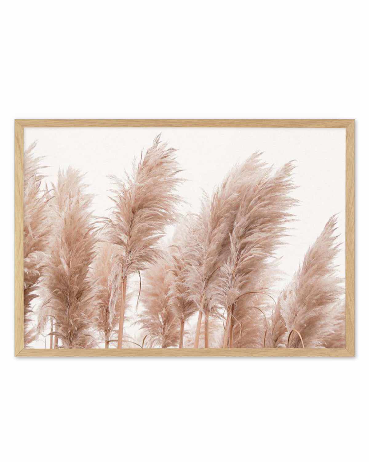 Golden Pampas Art Print