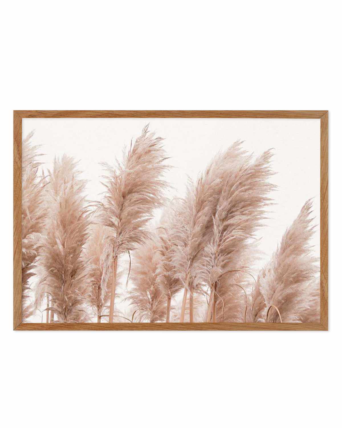 Golden Pampas Art Print