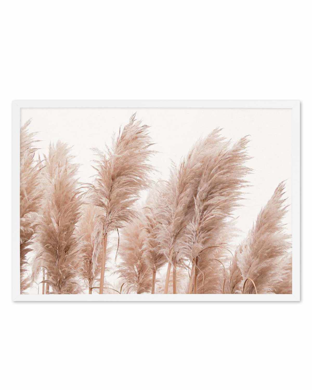 Golden Pampas Art Print