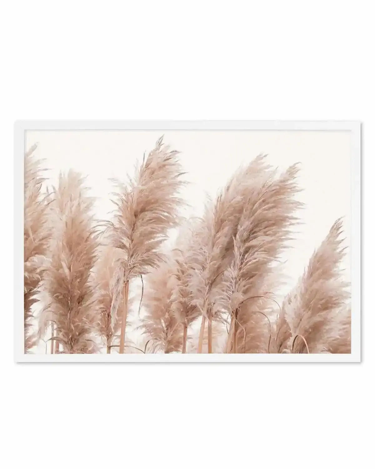 Golden Pampas Art Print from Olive et Oriel where you can shop wallpaper and artworks online