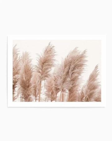 Photography art print featuring a field of golden pampas grass with feathery plumes in soft beige and warm cream tones against a bright white background. The composition captures the delicate texture of the grass and a gentle, airy mood.