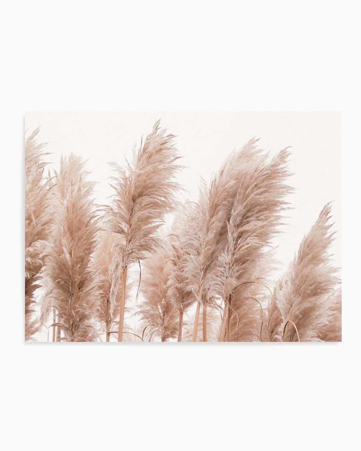 Golden Pampas Art Print