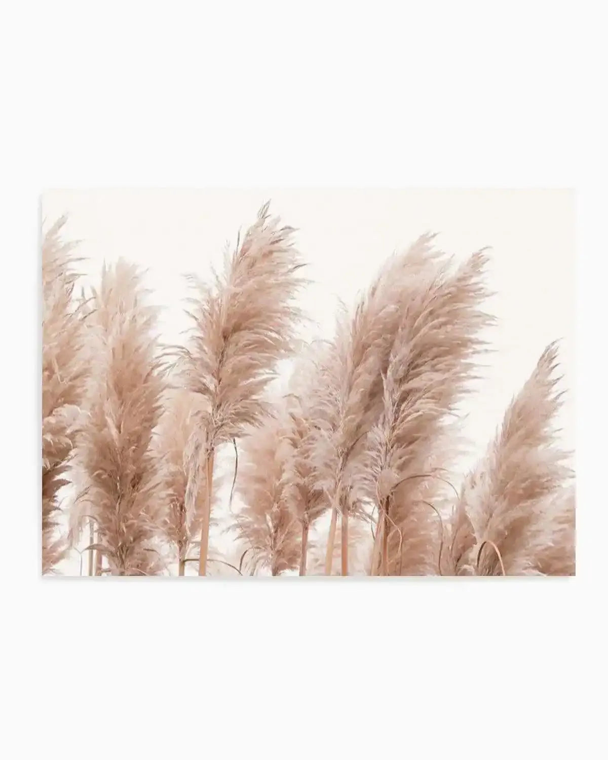 Golden Pampas Art Print from Olive et Oriel where you can shop wallpaper and artworks online