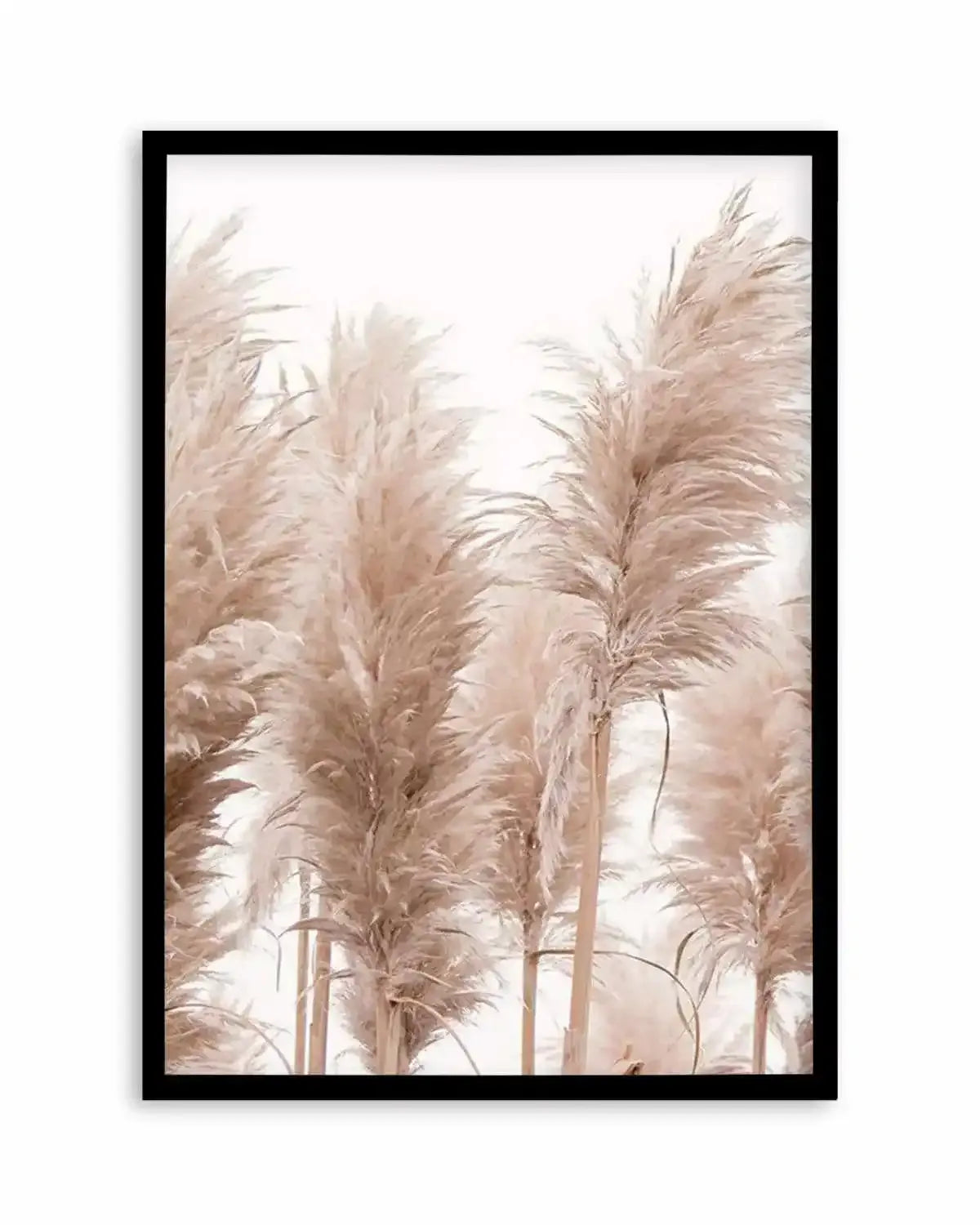 Golden Pampas I Art Print from Olive et Oriel where you can shop wallpaper and artworks online