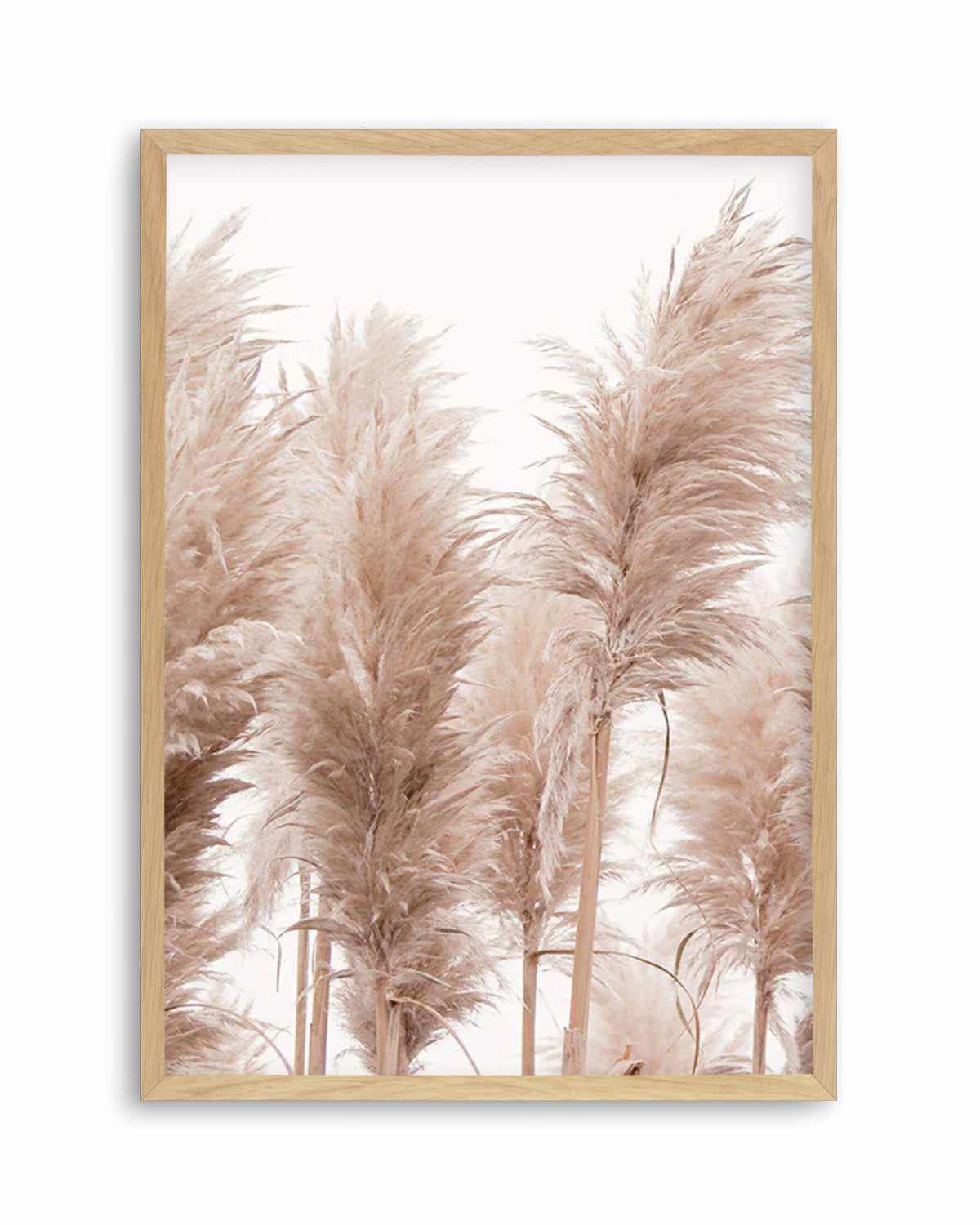 Golden Pampas I Art Print