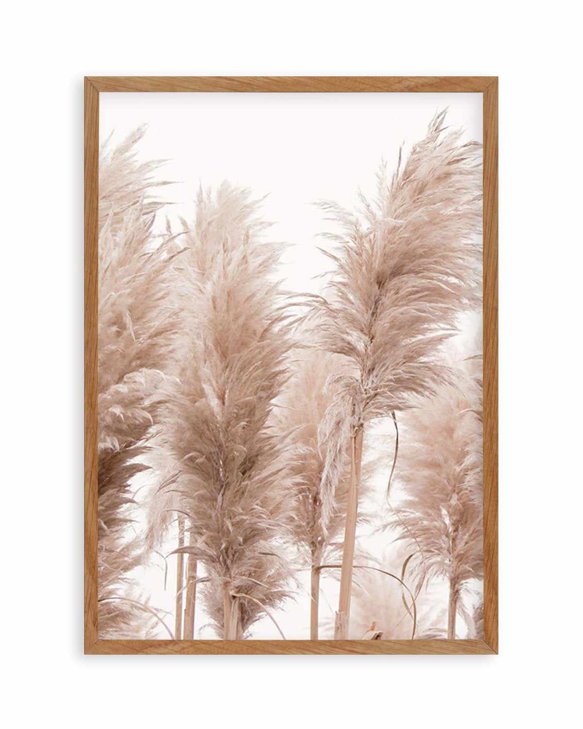 Golden Pampas I Art Print