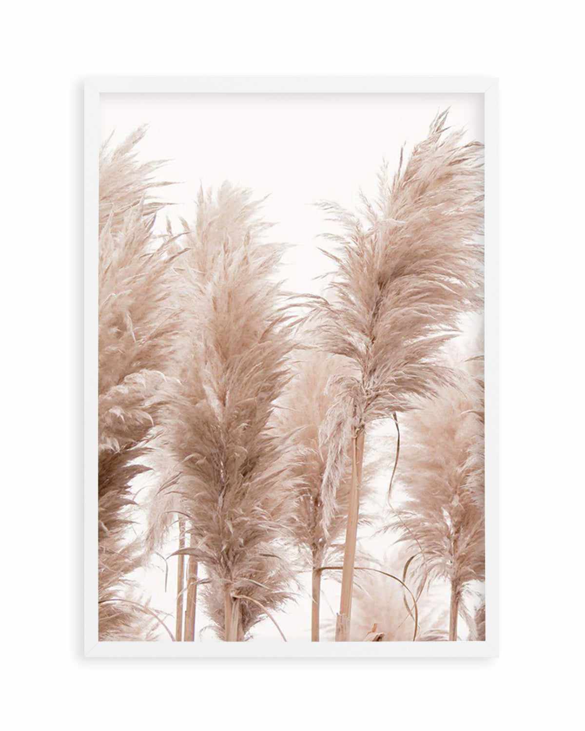 Golden Pampas I Art Print