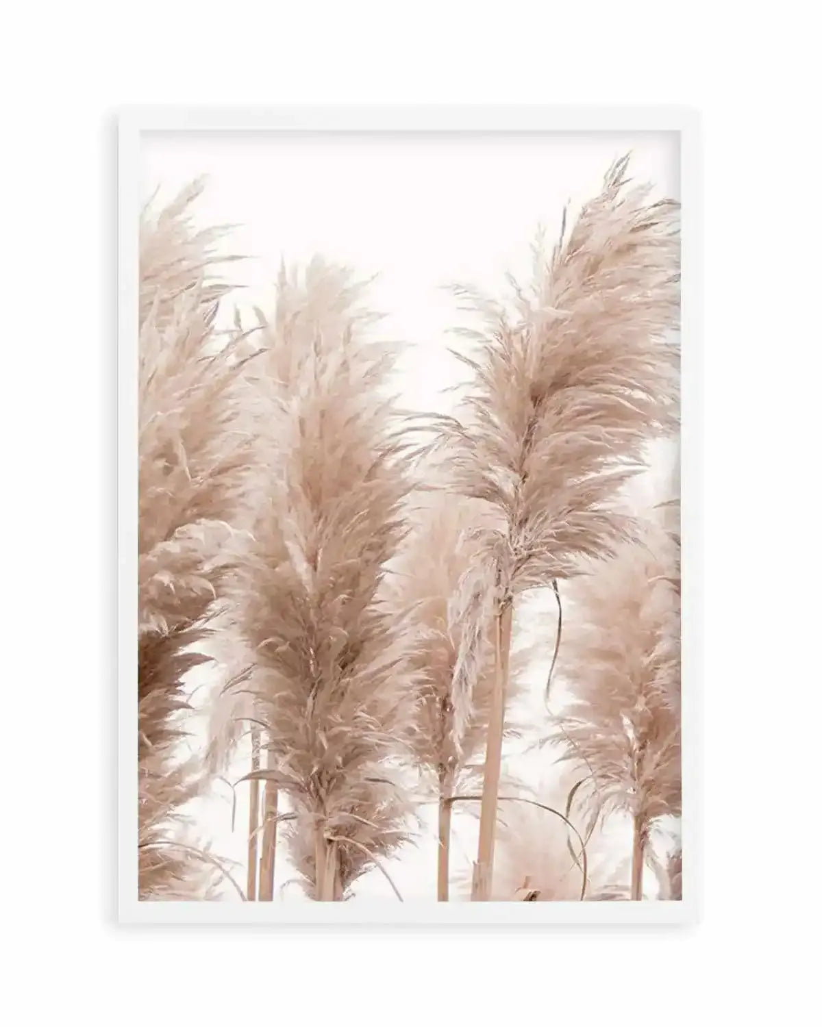 Golden Pampas I Art Print from Olive et Oriel where you can shop wallpaper and artworks online