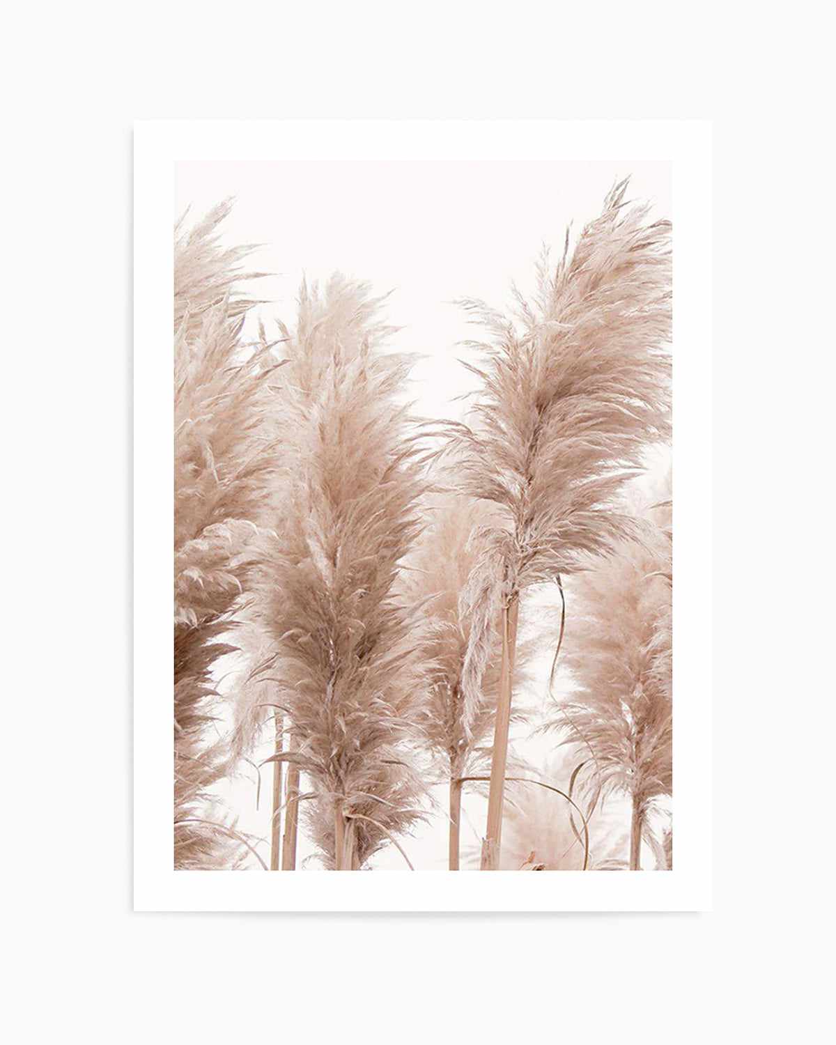 Golden Pampas I Art Print