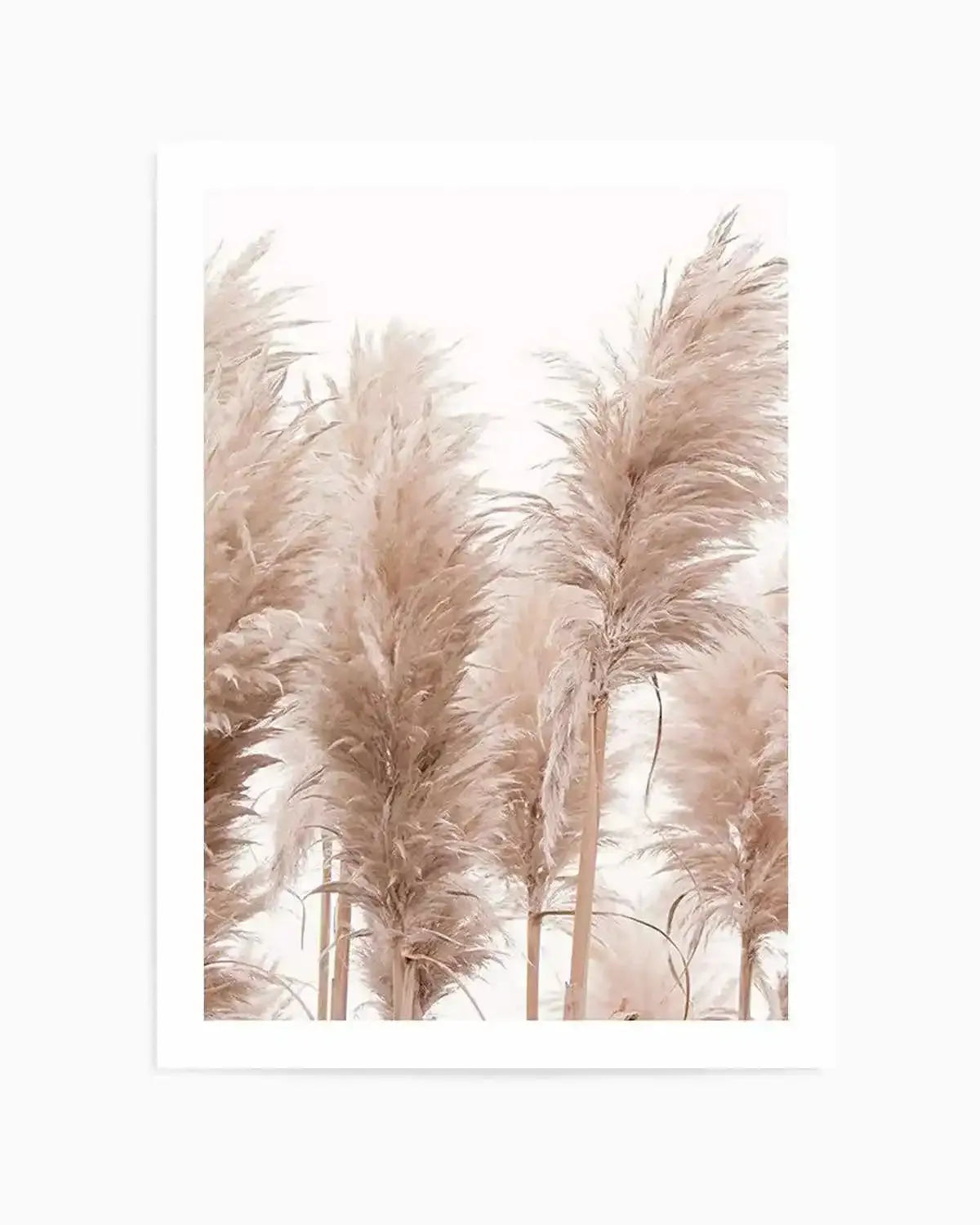 Golden Pampas I Art Print from Olive et Oriel where you can shop wallpaper and artworks online