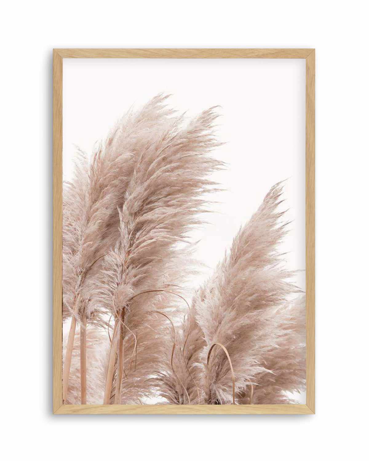 Golden Pampas II Art Print