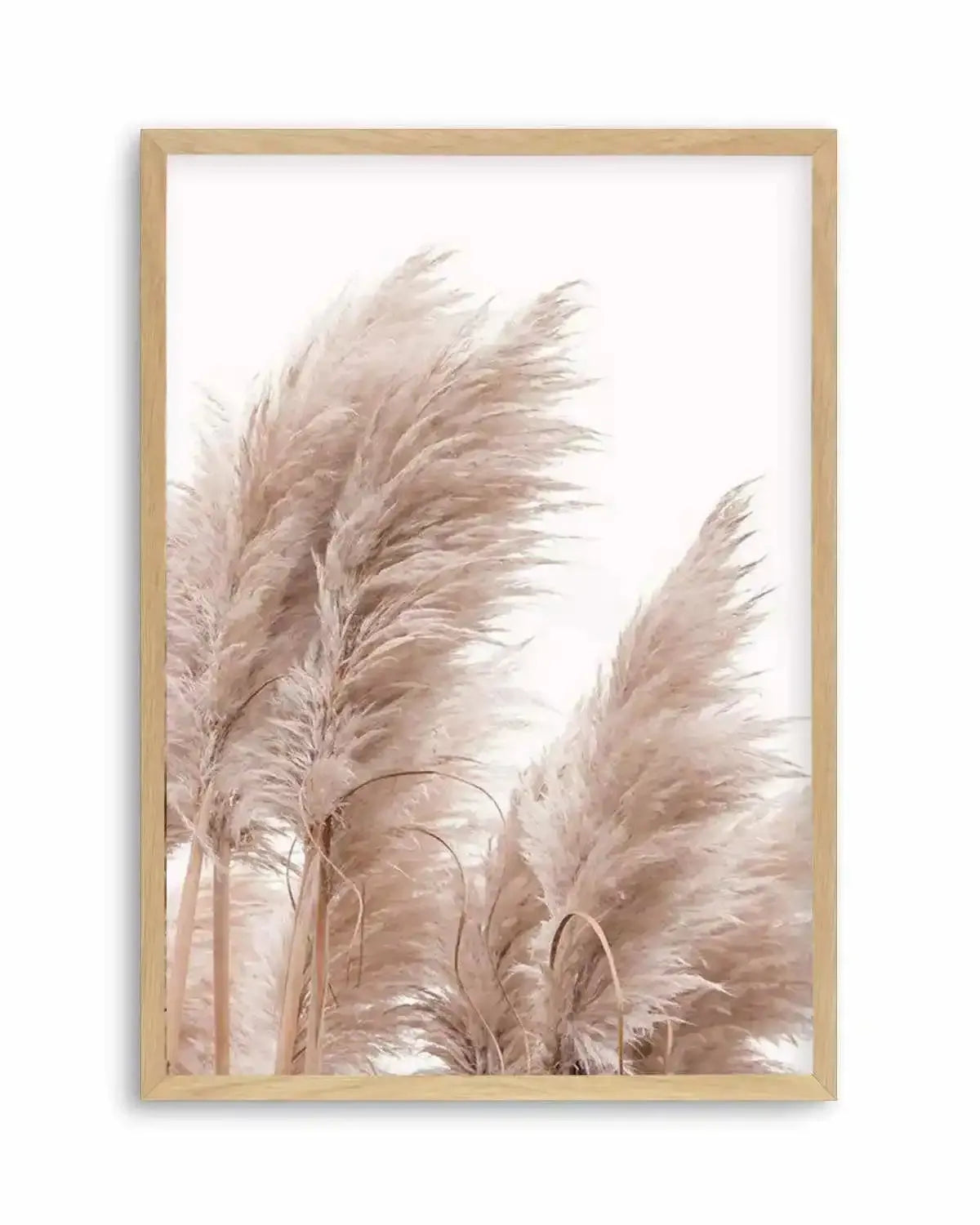 Golden Pampas II Art Print from Olive et Oriel where you can shop wallpaper and artworks online