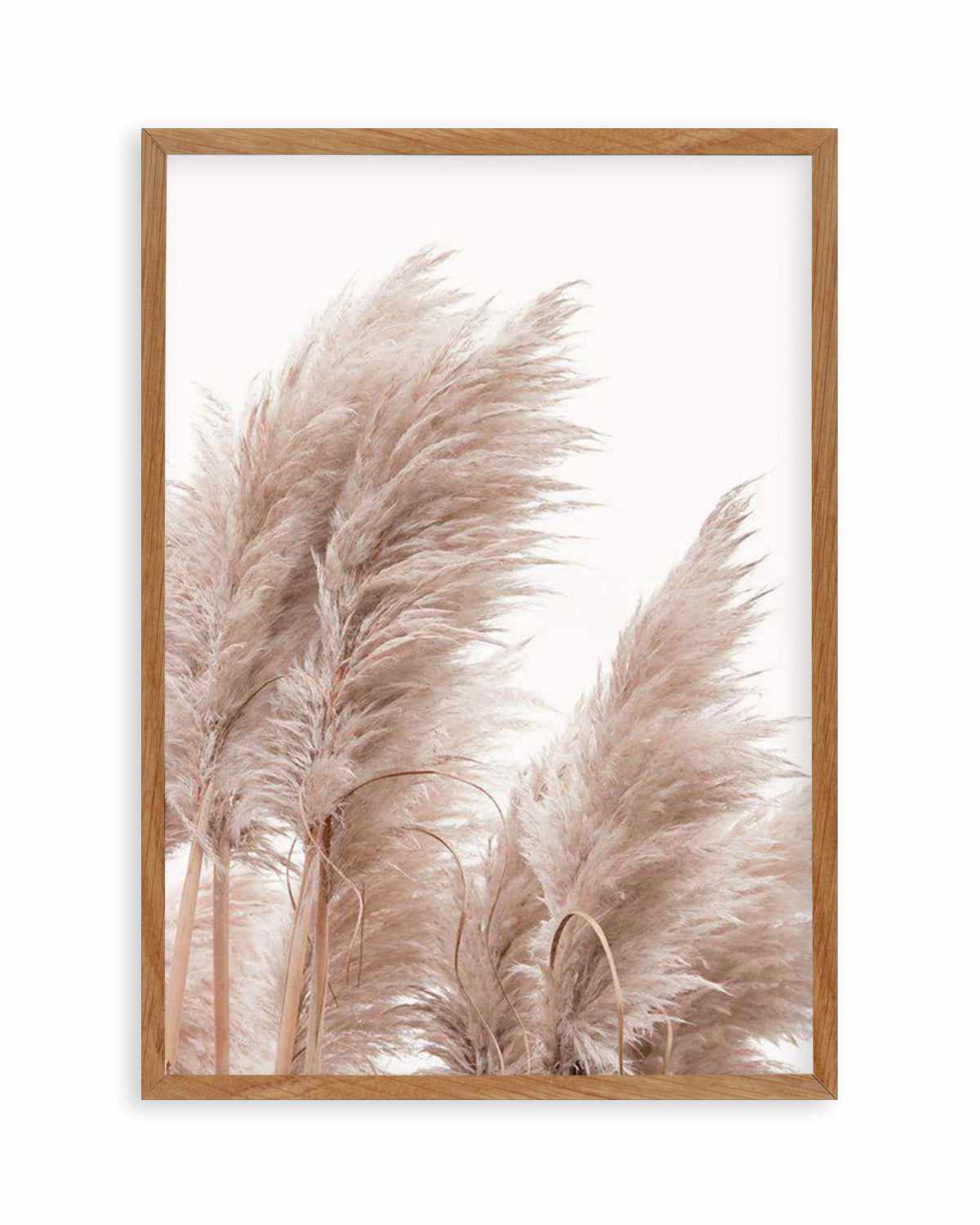 Golden Pampas II Art Print