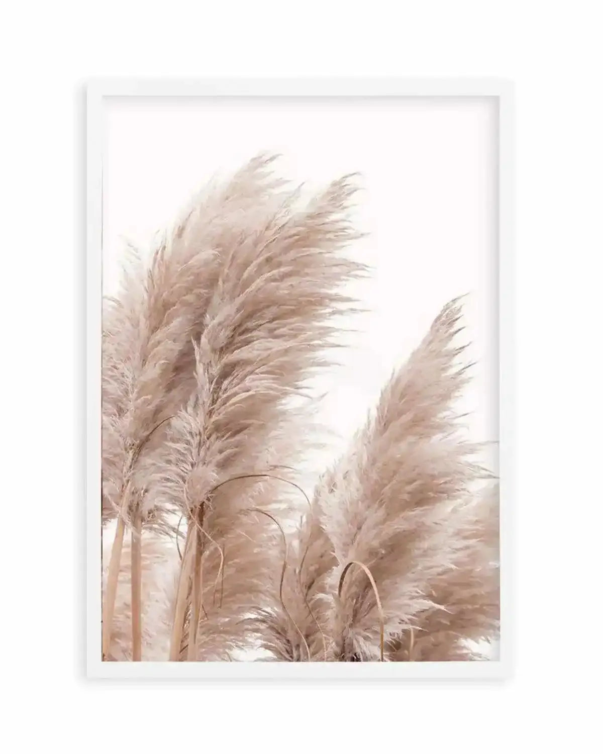 Golden Pampas II Art Print from Olive et Oriel where you can shop wallpaper and artworks online