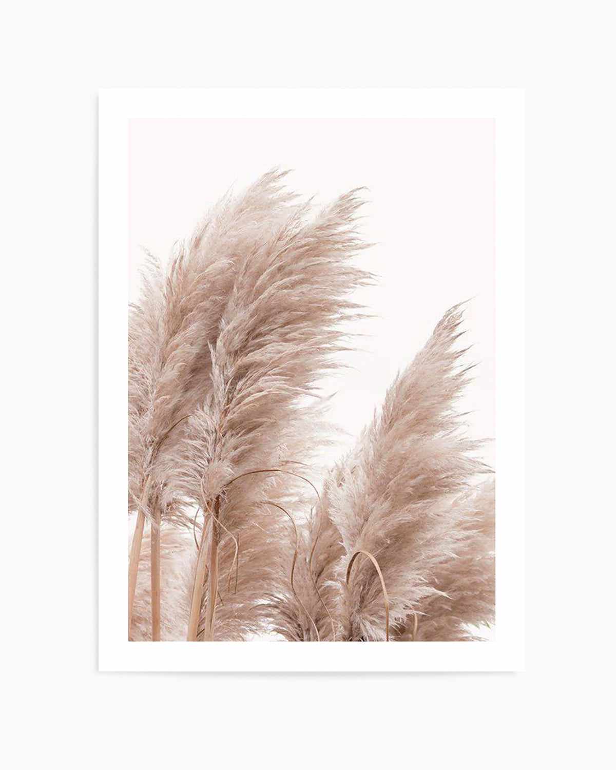 Golden Pampas II Art Print