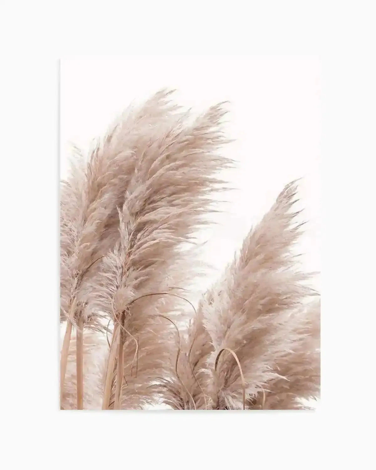 Golden Pampas II Art Print from Olive et Oriel where you can shop wallpaper and artworks online