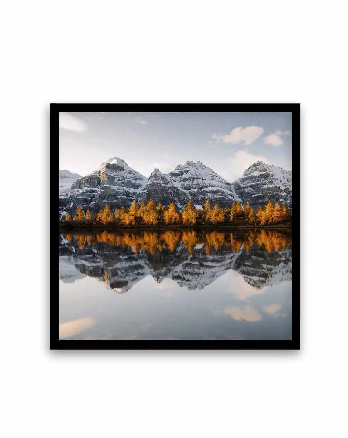 Golden Pines by Kalen X | Art Print from Olive et Oriel where you can shop wallpaper and artworks online