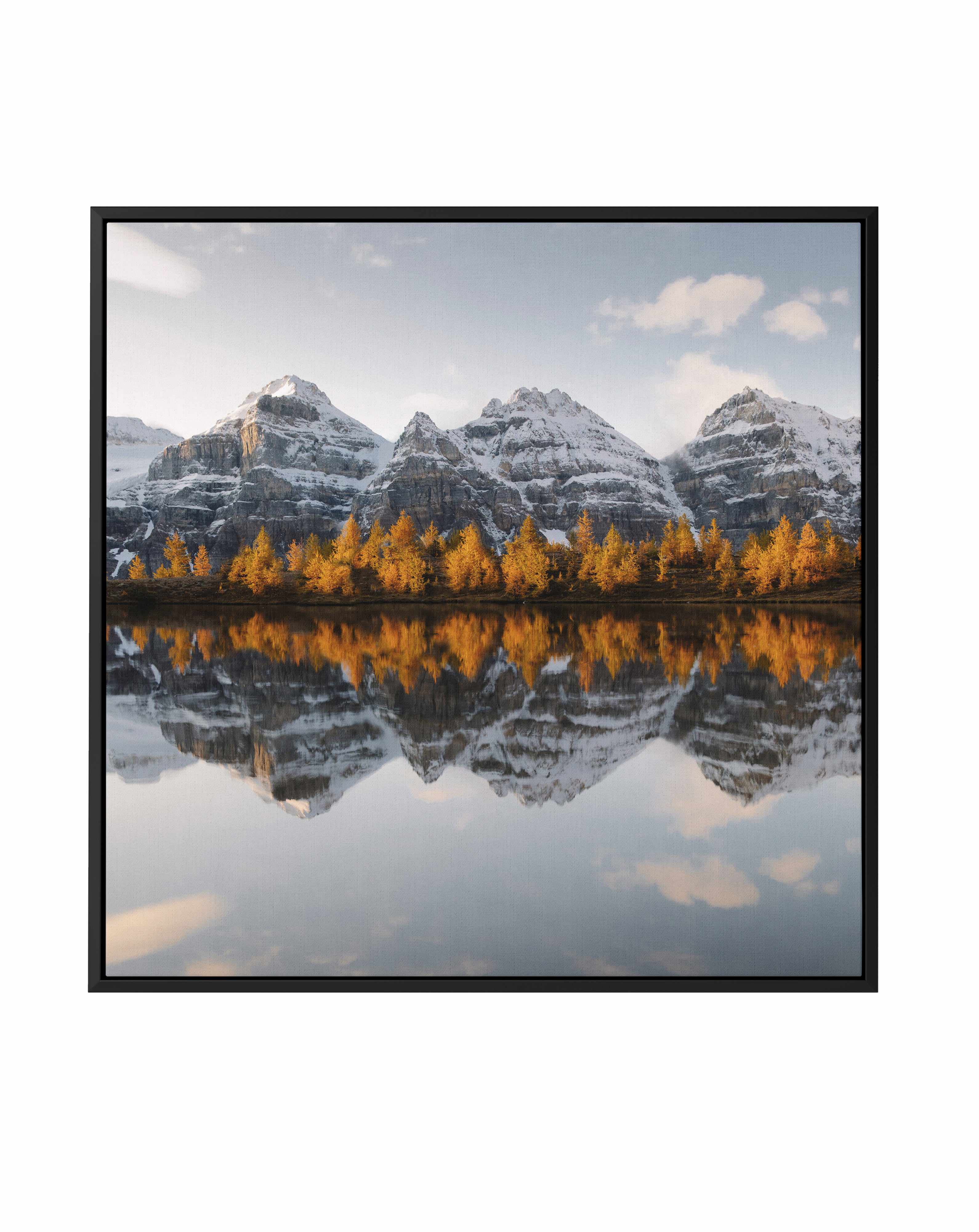 Golden Pines by Kalen X | Framed Canvas Art Print