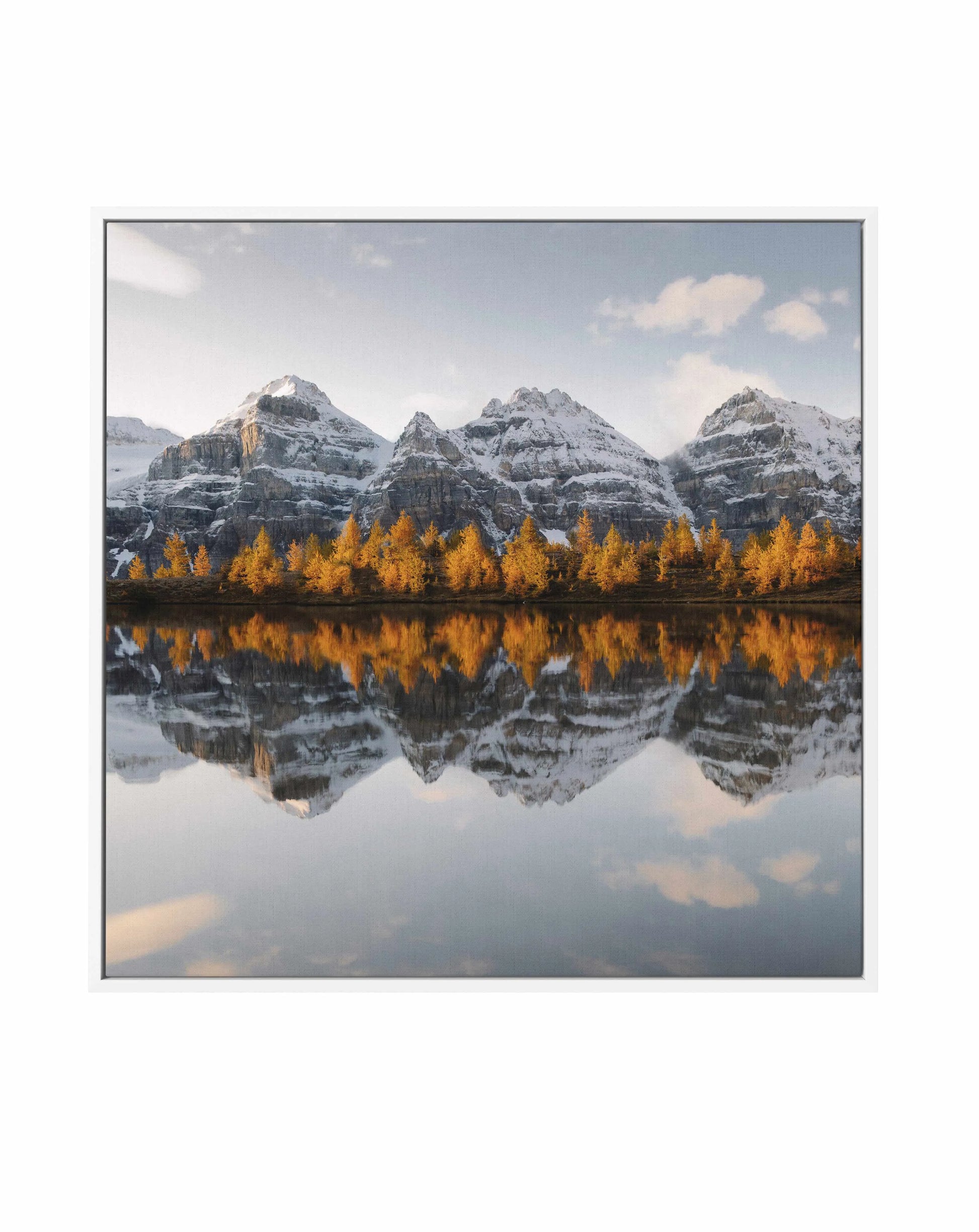 Golden Pines by Kalen X | Framed Canvas Art Print from Olive et Oriel where you can shop wallpaper and artworks online